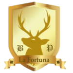 tallerlafortuna